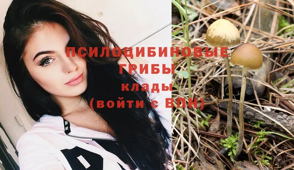 a pvp Верхнеуральск