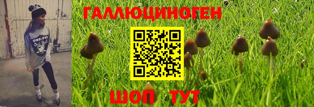 Рузаевка  купить закладку  Вход с VPN  Псилоцибиновые грибы Magic Shrooms  Галлюциногенные грибы Psilocybine cubensis 